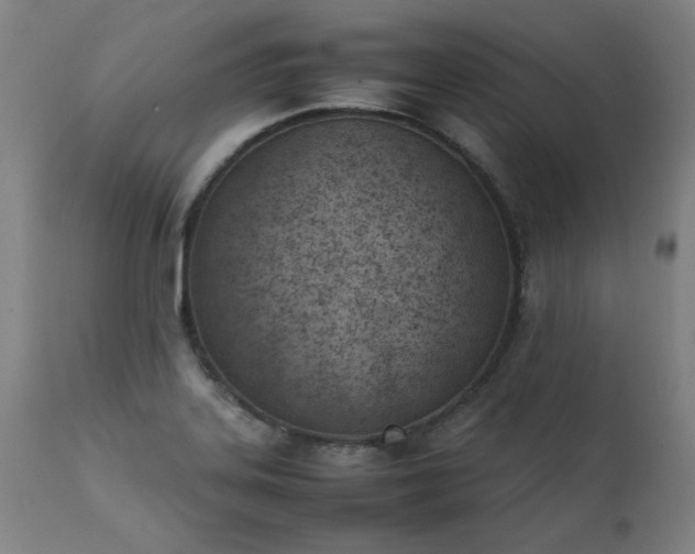 X0000111391323200907171237