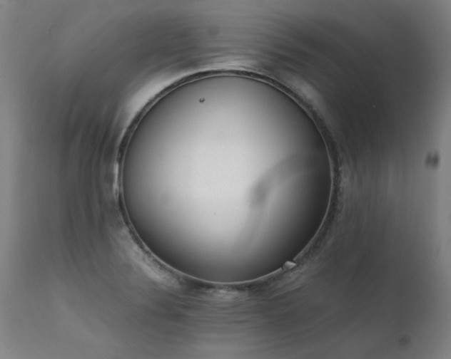 X0000111391324200907171237