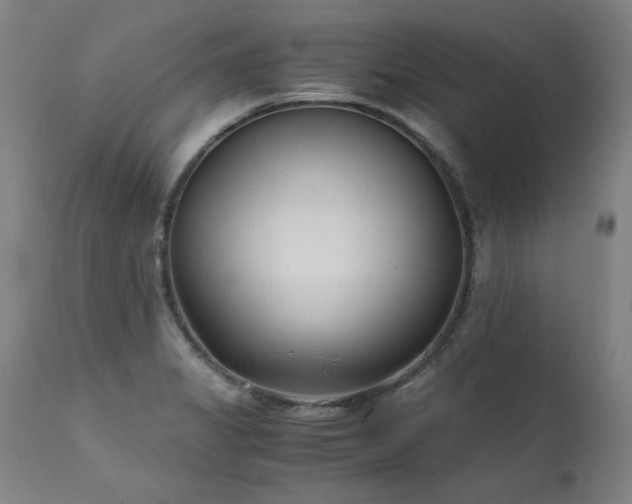 X0000111391325200907171237