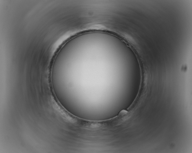 X0000111391326200907171237