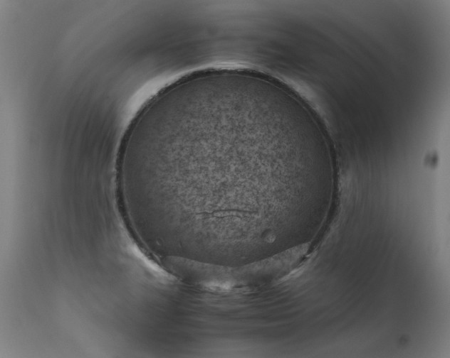 X0000111391327200907171237