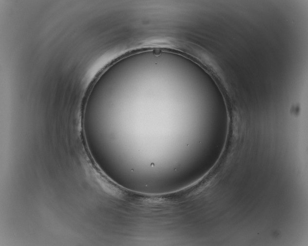 X0000111391328200907171237