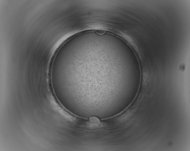 X0000111391331200907171237