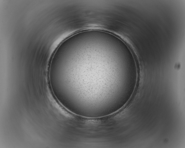 X0000111391333200907171237