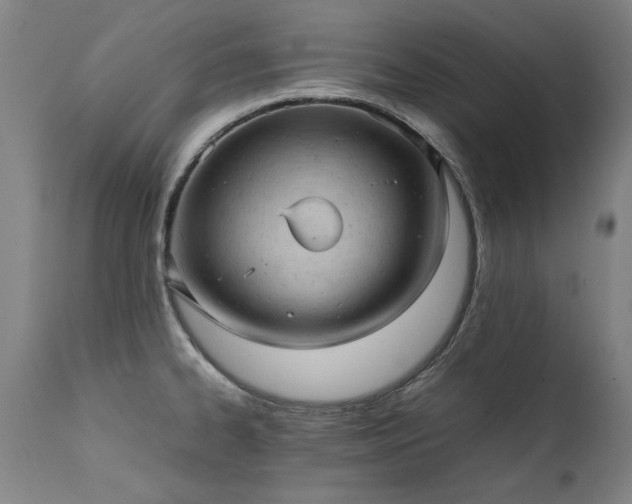 X0000111391334200907171237