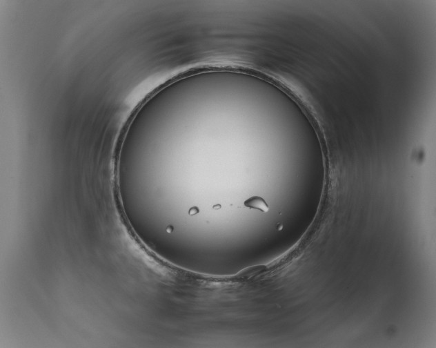 X0000111391335200907171237