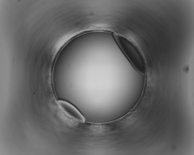 X0000111391336200907171237