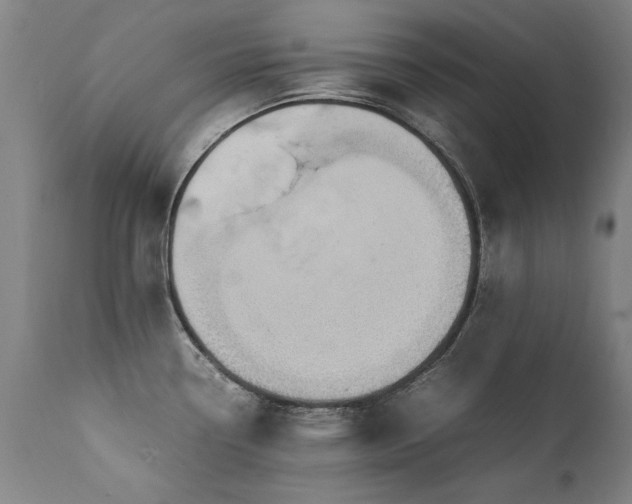 X0000111391338200907171237