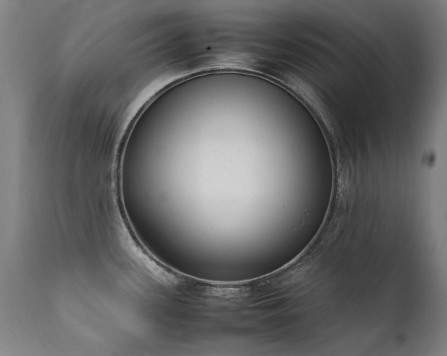 X0000111391339200907171237