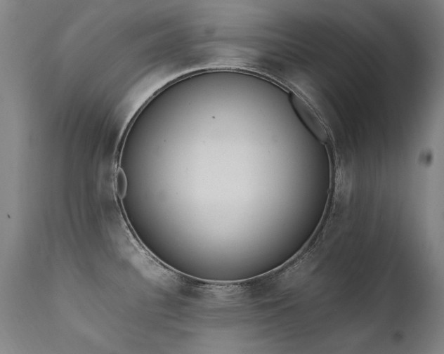 X0000111391340200907171237