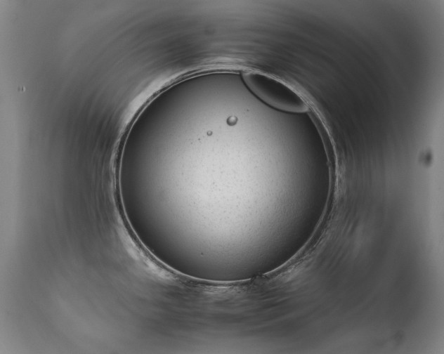 X0000111391341200907171237