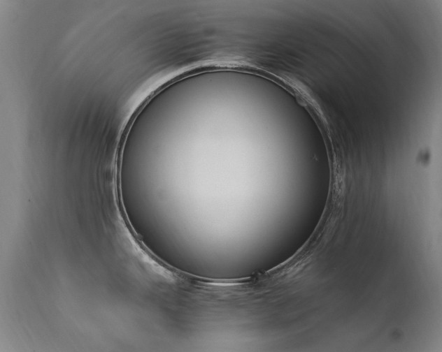 X0000111391343200907171237