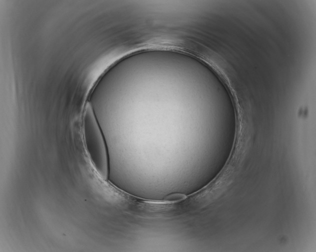 X0000111391344200907171237