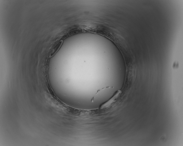 X0000111391345200907171236