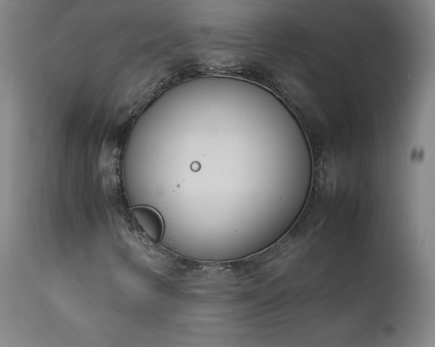 X0000111391346200907171236