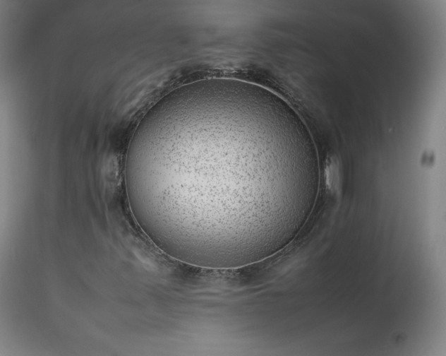 X0000111391347200907171236