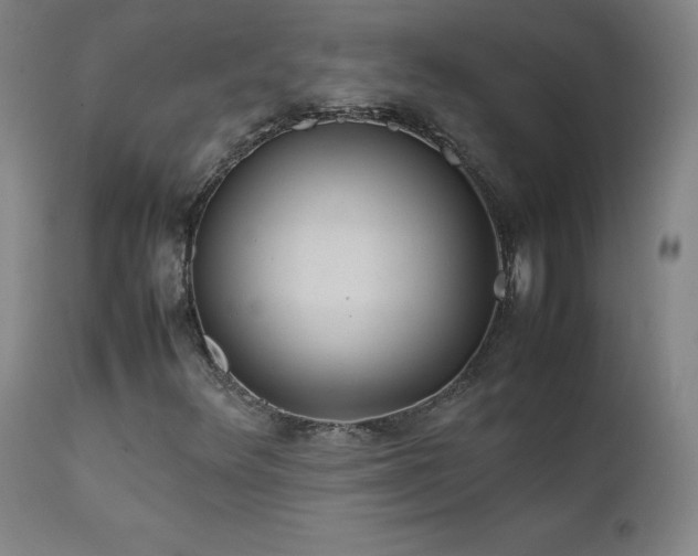 X0000111391348200907171236