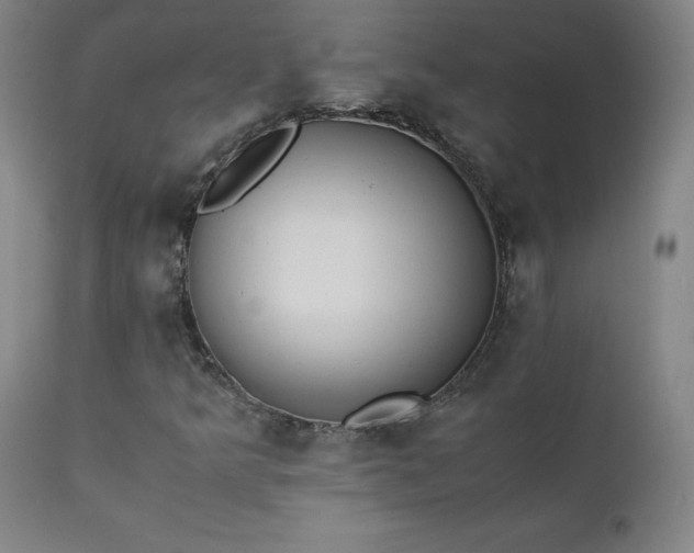 X0000111391349200907171236