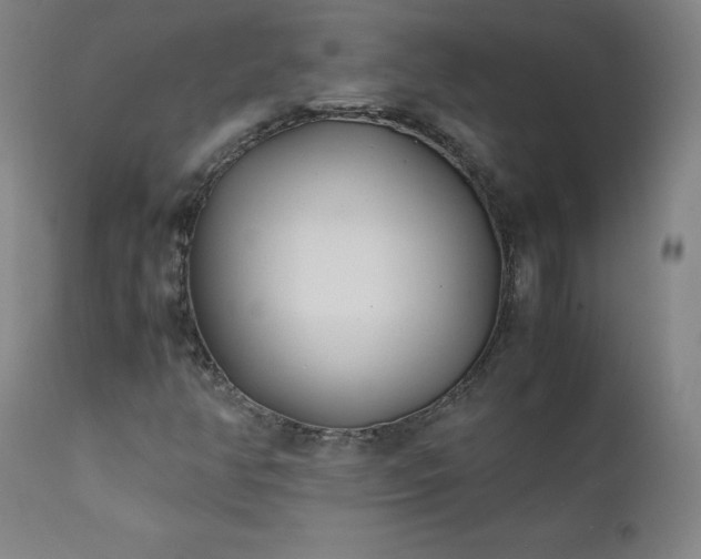 X0000111391350200907171236