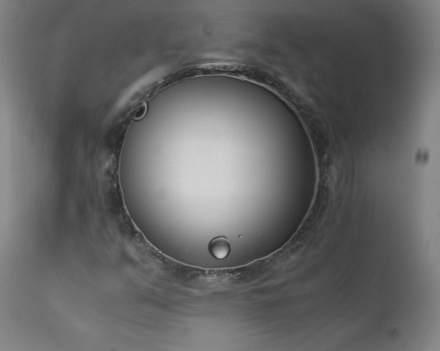 X0000111391351200907171236