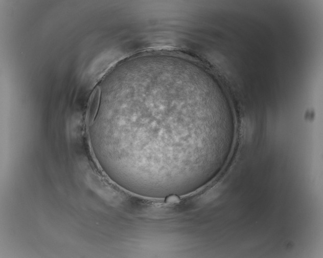 X0000111391353200907171236