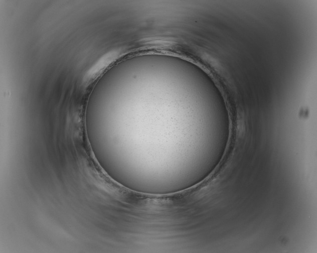 X0000111391354200907171236