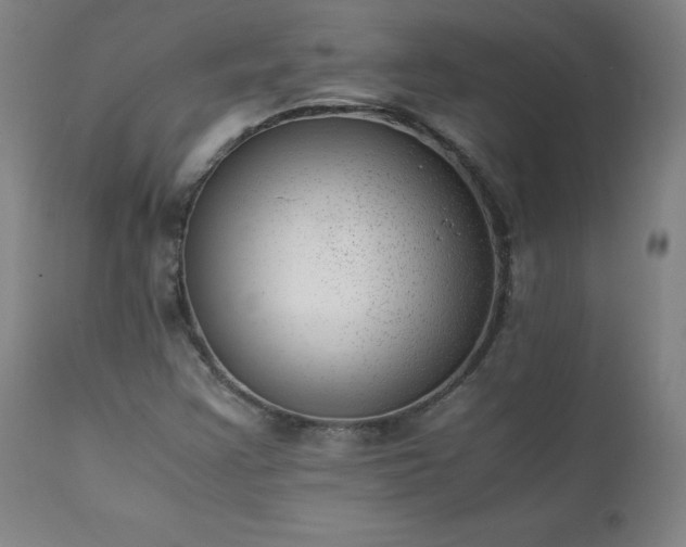 X0000111391355200907171236