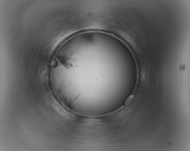 X0000111391356200907171236