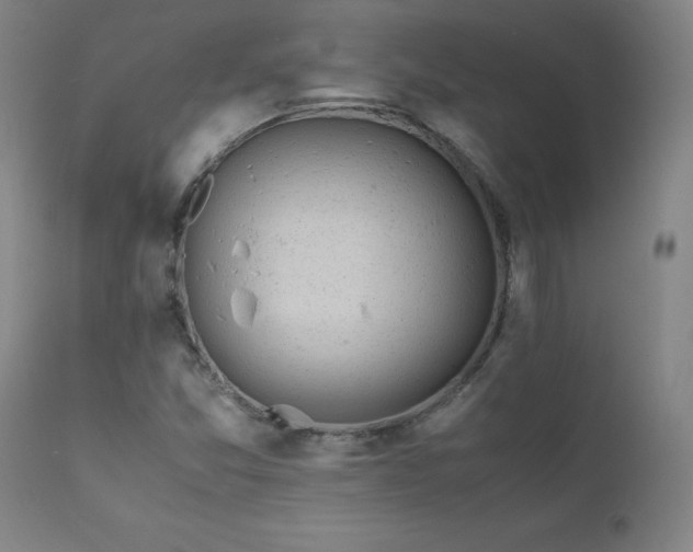 X0000111391357200907171236