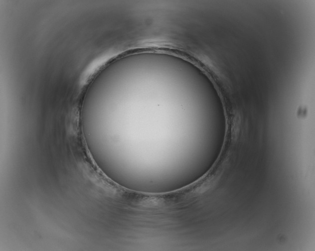 X0000111391358200907171236