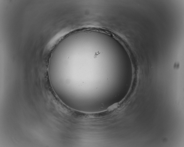 X0000111391359200907171236