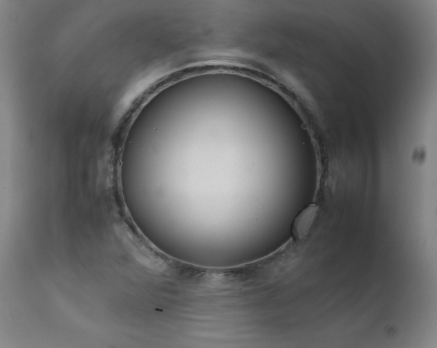 X0000111391360200907171236