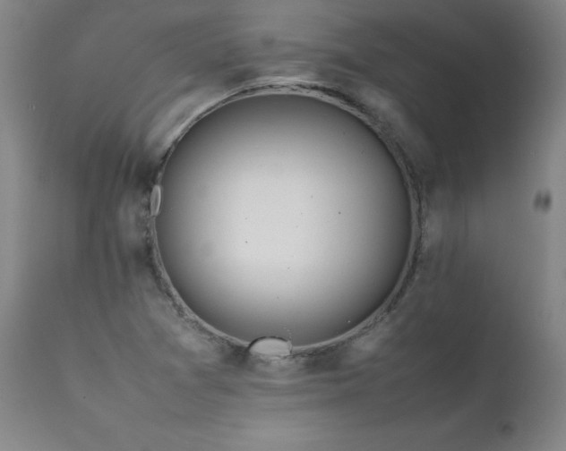 X0000111391361200907171236