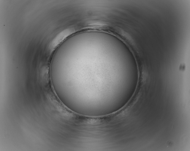 X0000111391362200907171236