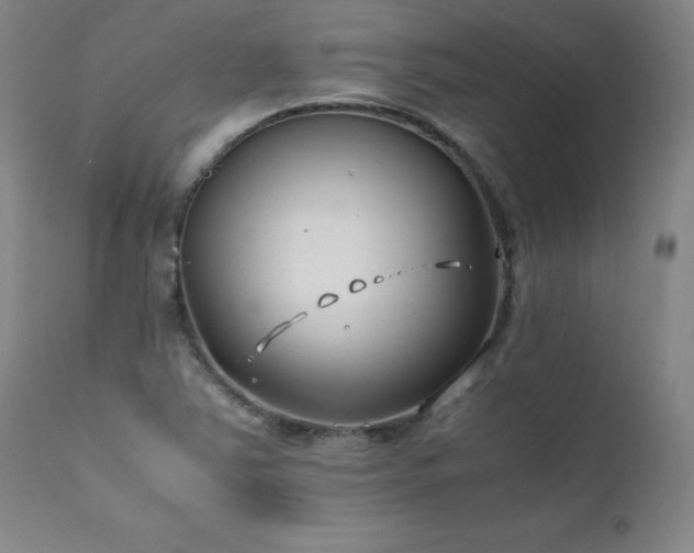 X0000111391363200907171236