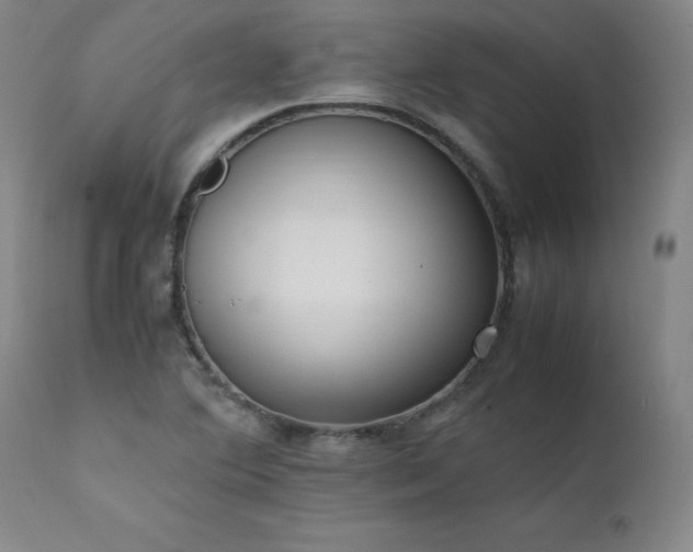 X0000111391364200907171236