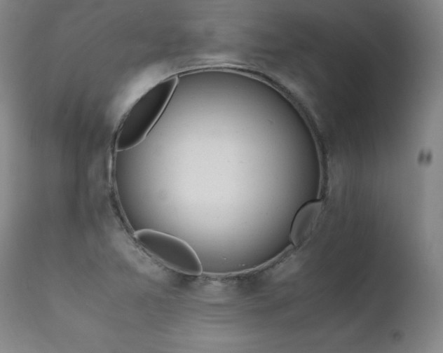 X0000111391365200907171236