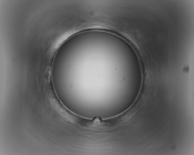 X0000111391367200907171236