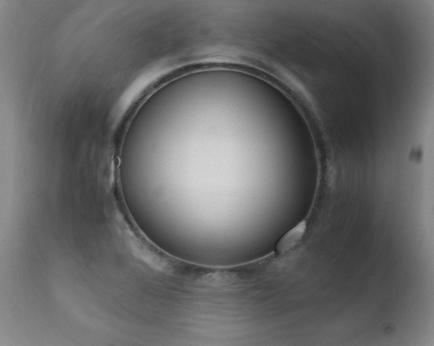 X0000111391368200907171236