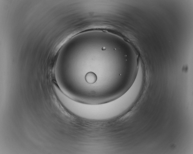 X0000111391369200907171236