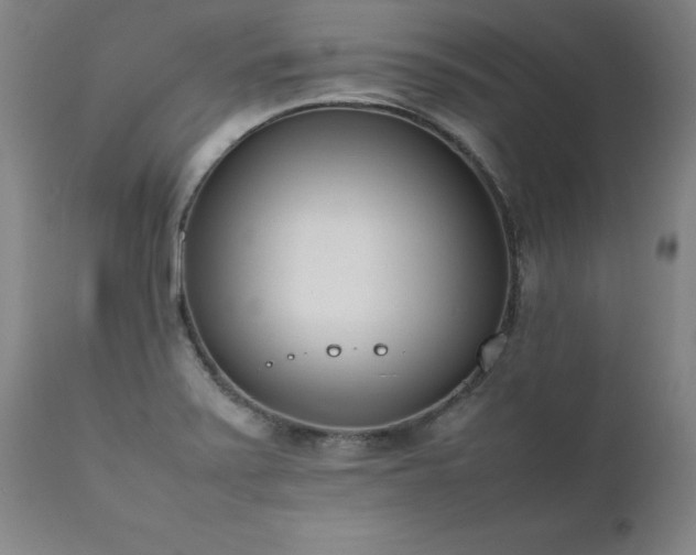 X0000111391371200907171236