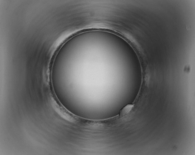 X0000111391372200907171236