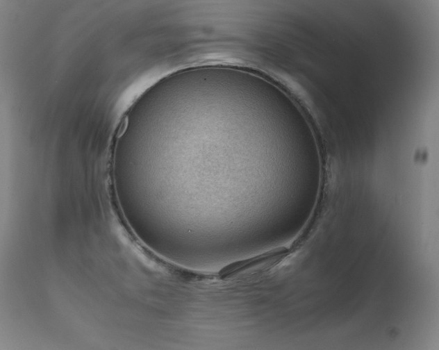 X0000111391373200907171236