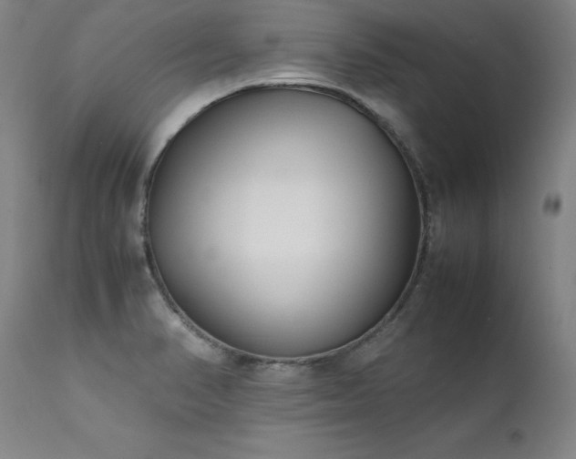 X0000111391374200907171236