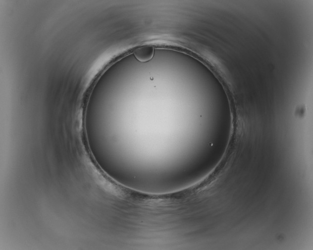 X0000111391376200907171236