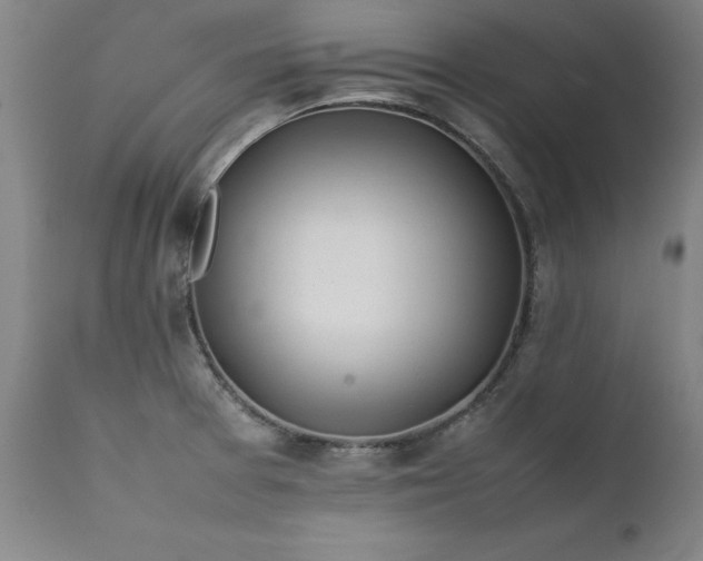 X0000111391377200907171236