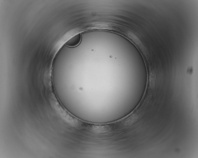 X0000111391378200907171236