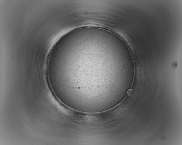 X0000111391379200907171236