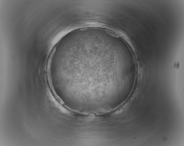 X0000111391381200907171236