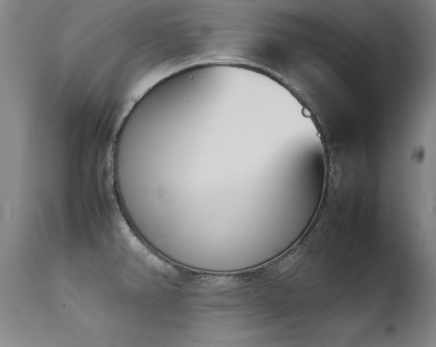 X0000111391382200907171236